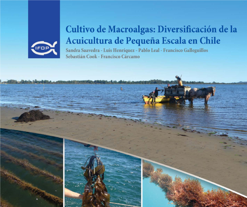 Manual “Cultivo De Macroalgas: Diversificación De La Acuicultura De Pequeña Escala En Chile”