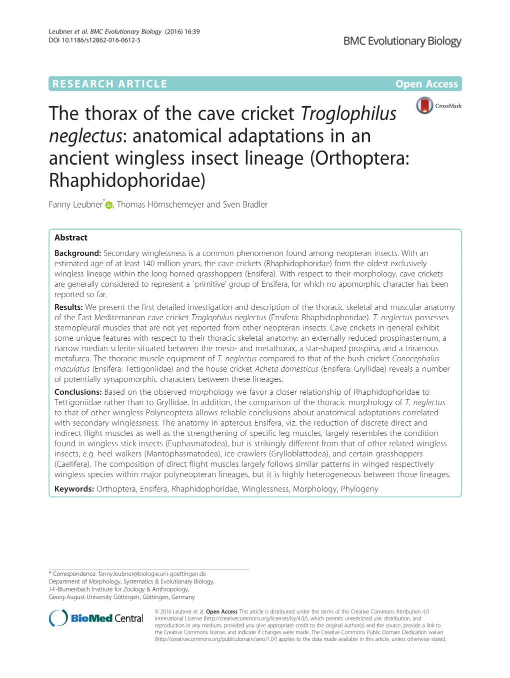 The Thorax of the Cave Cricket Troglophilus Neglectus: Anatomical