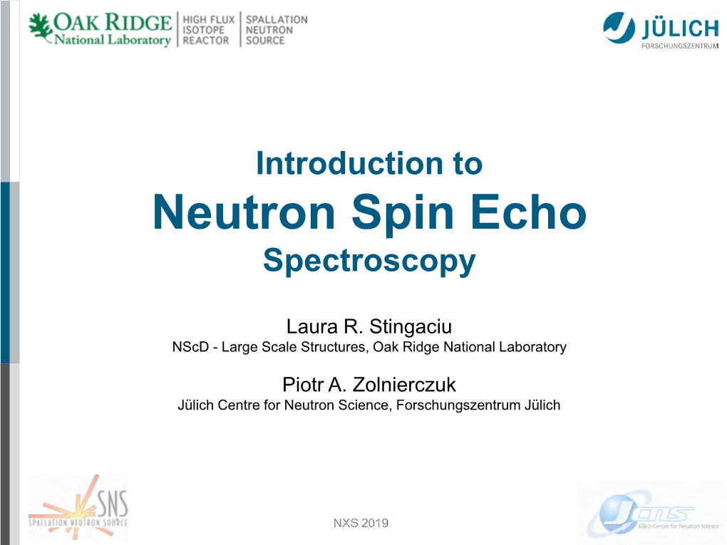 Neutron Spin Echo Spectroscopy