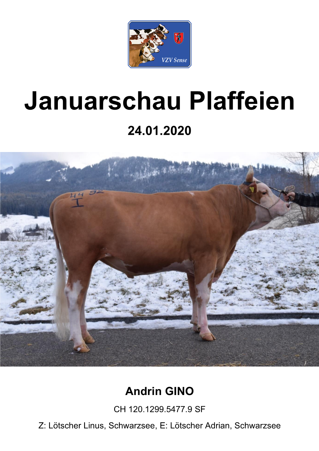 Januarschau Plaffeien Januarschau Plaffeien