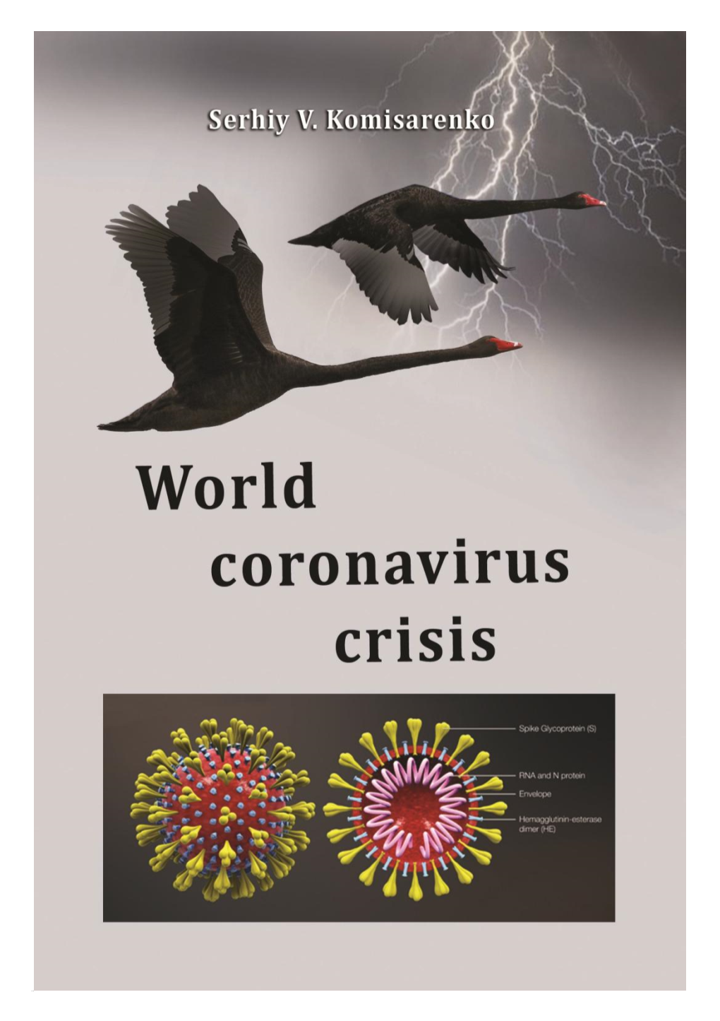 World Coronavirus Crisis