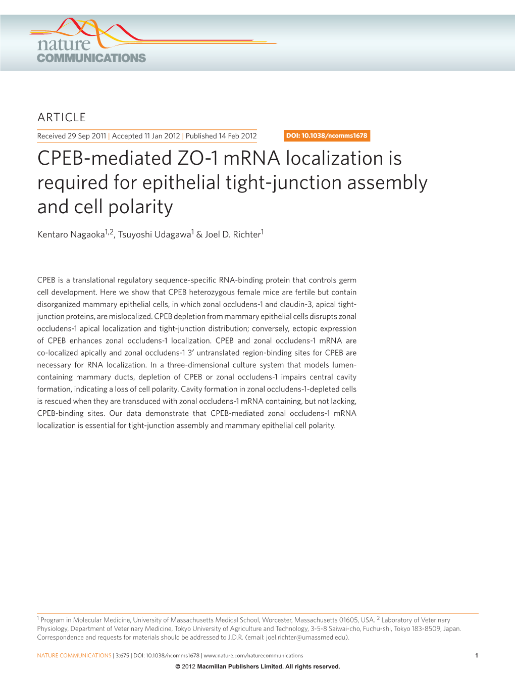 CPEB-Mediated ZO-1 Mrna Localization Is Required for Epithelial Tight-Junction Assembly and Cell Polarity