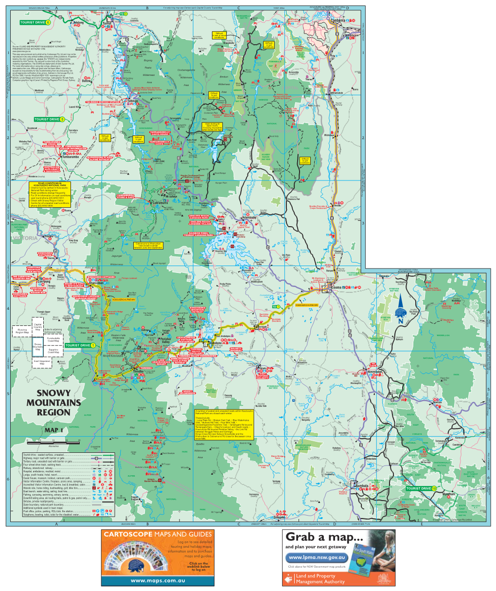 Snowy Mountains Regional