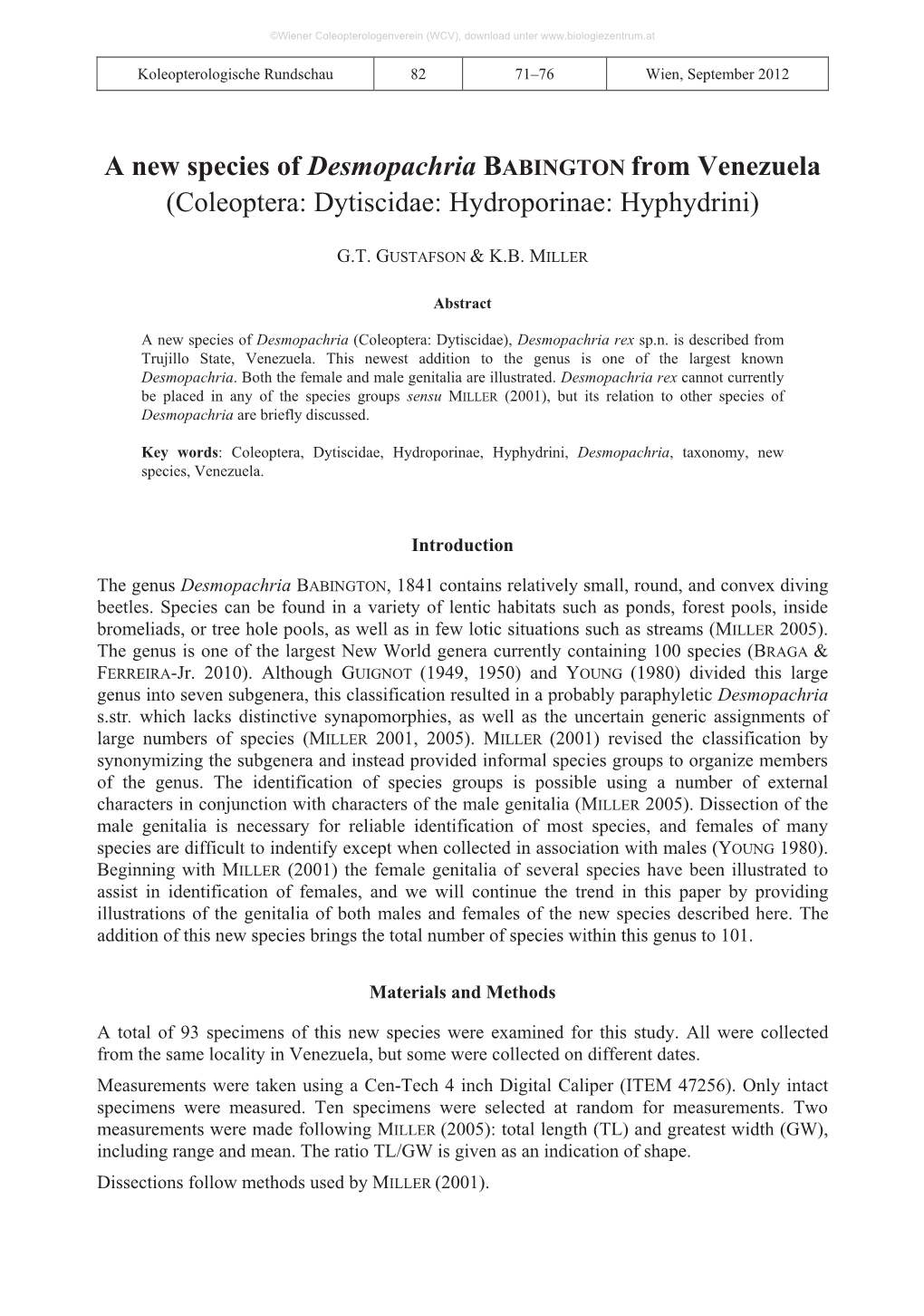 A New Species of Desmopachria BABINGTON from Venezuela (Coleoptera: Dytiscidae: Hydroporinae: Hyphydrini)