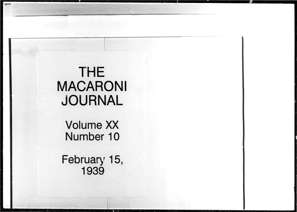 MACARONI JOURNAL \/Elu'me Xx , N,Urnider 10