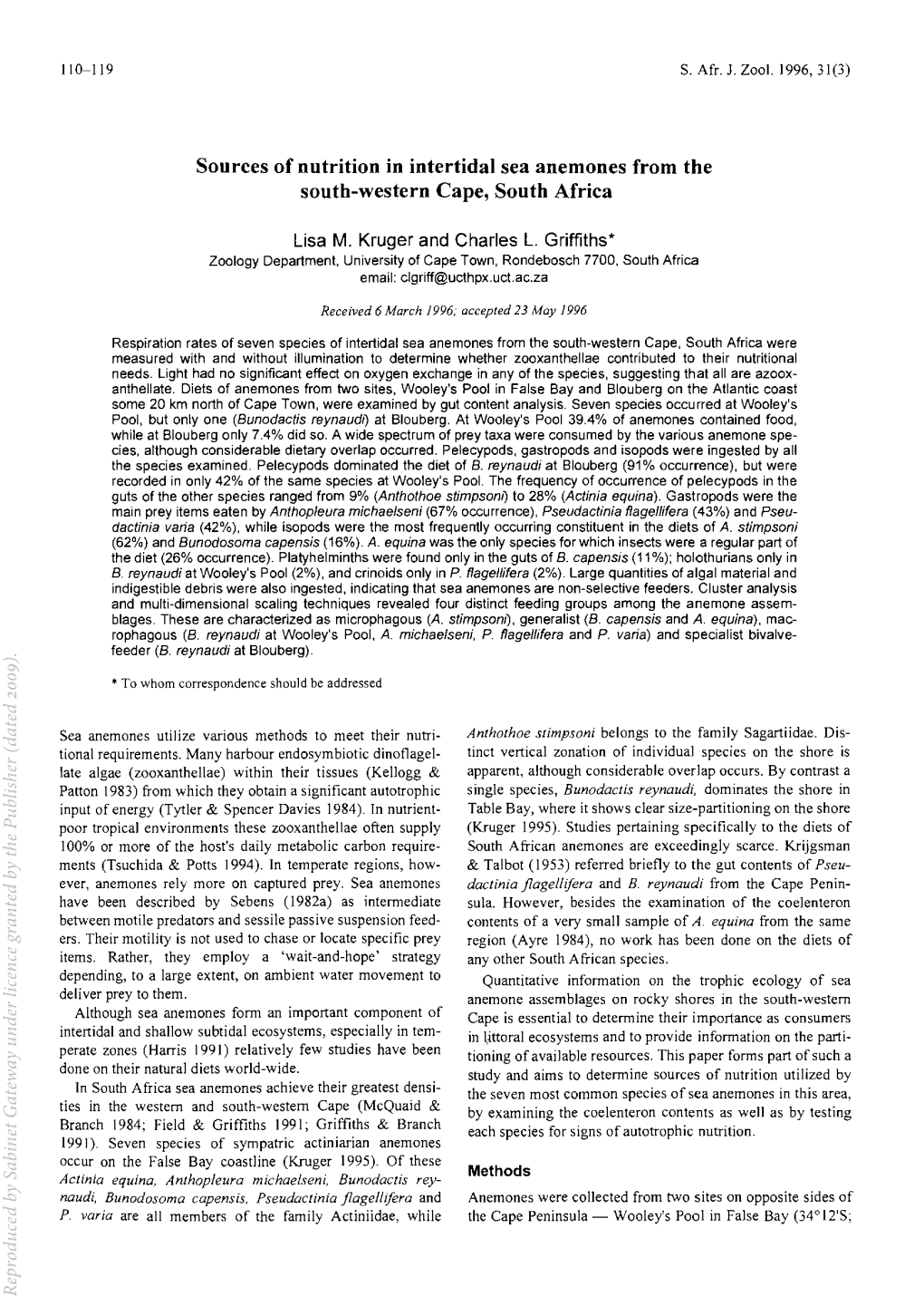 Sources of Nutrition in Intertidal Sea Anemones from the South-Western Cape, South Africa