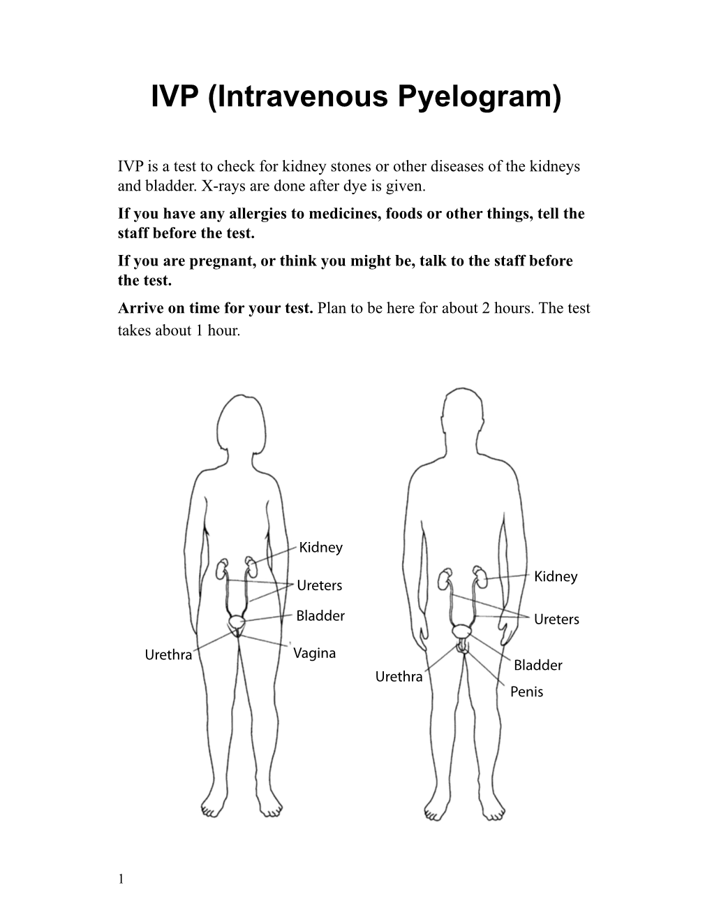 IVP (Intravenous Pyelogram)