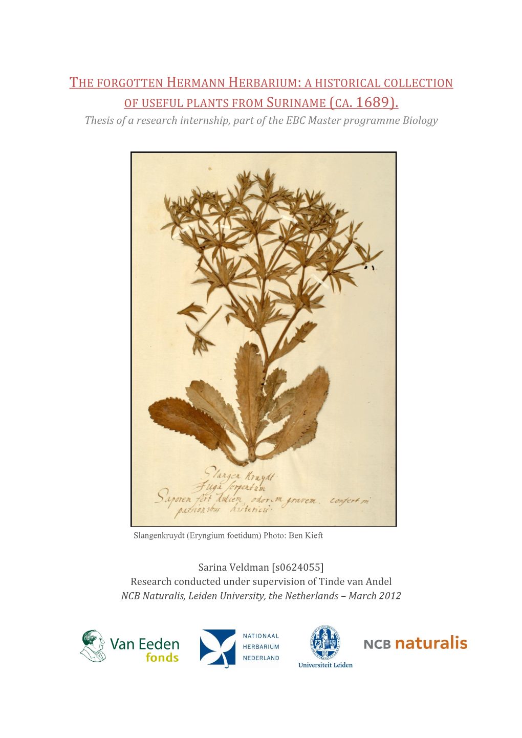 The Forgotten Hermann Herbarium: a Historical Collection of Useful Plants from Suriname (Ca