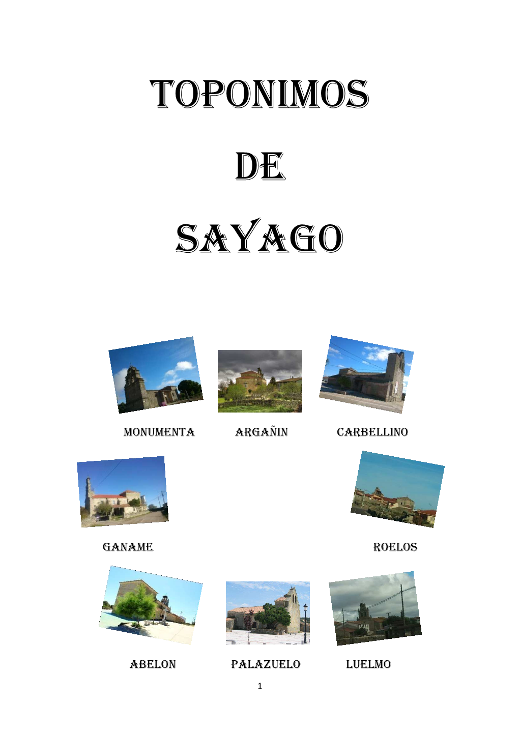 Toponimos De Sayago