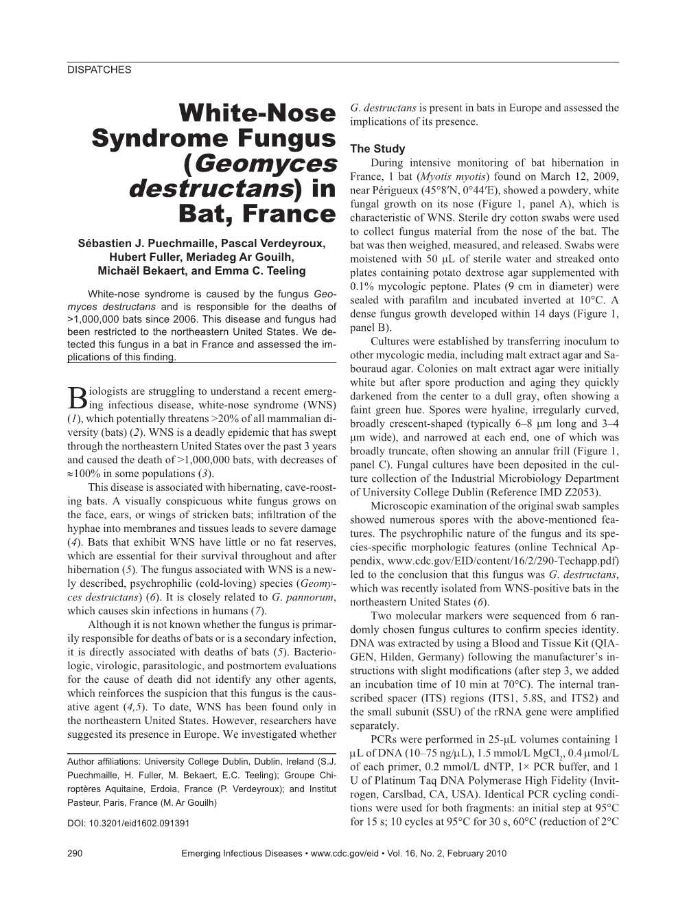 White-Nose Syndrome Fungus (Geomyces Destructans) in Bat, France