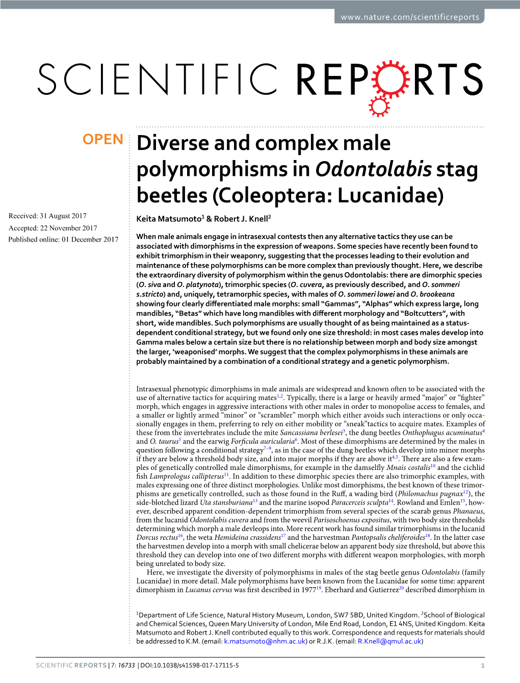 Diverse and Complex Male Polymorphisms in Odontolabis Stag Beetles (Coleoptera: Lucanidae) Received: 31 August 2017 Keita Matsumoto1 & Robert J