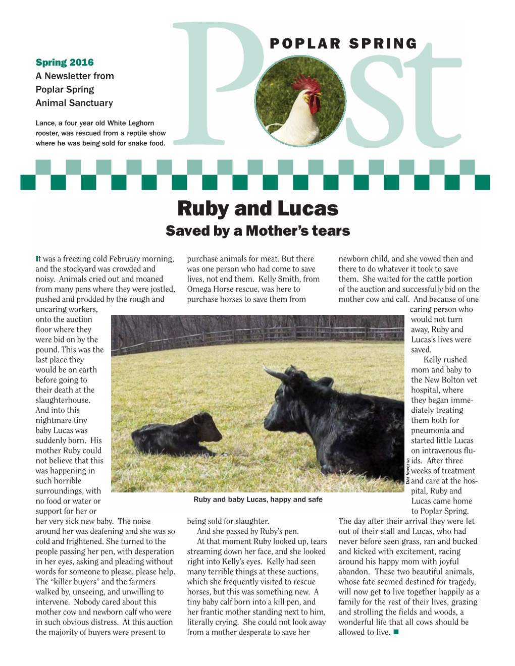 Spring 2016 a Newsletter from Poplar Spring Animal Sanctuary