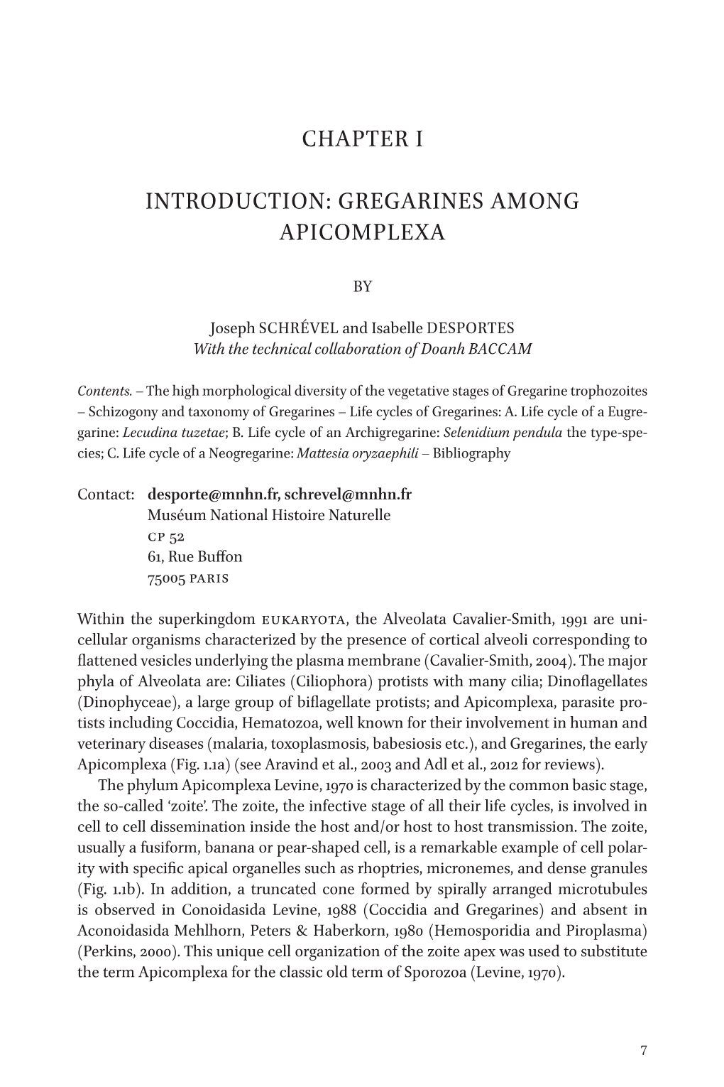 Gregarines Among Apicomplexa