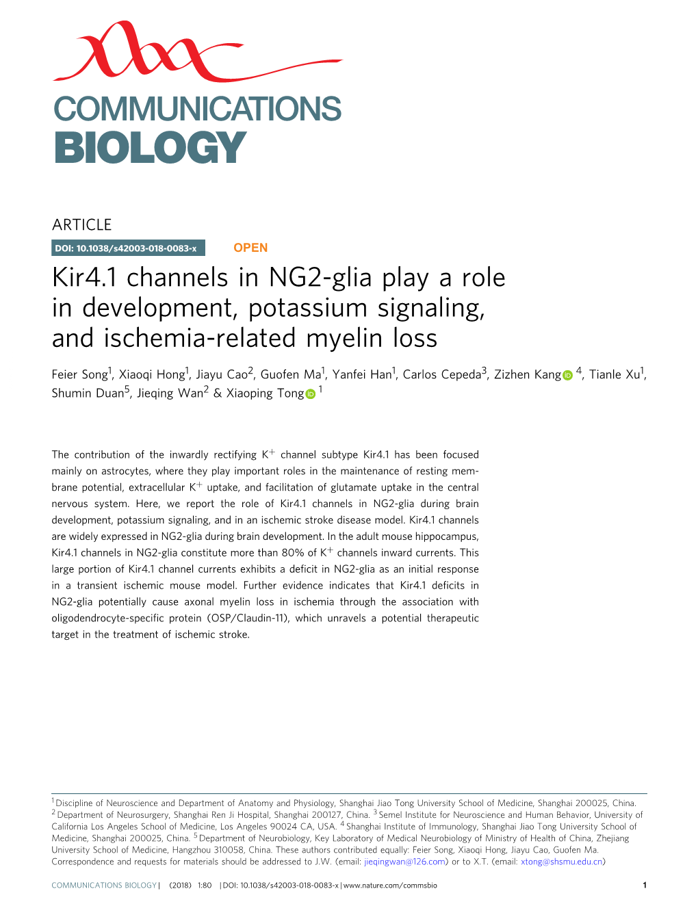Kir4.1 Channels in NG2-Glia Play a Role in Development, Potassium Signaling, and Ischemia-Related Myelin Loss