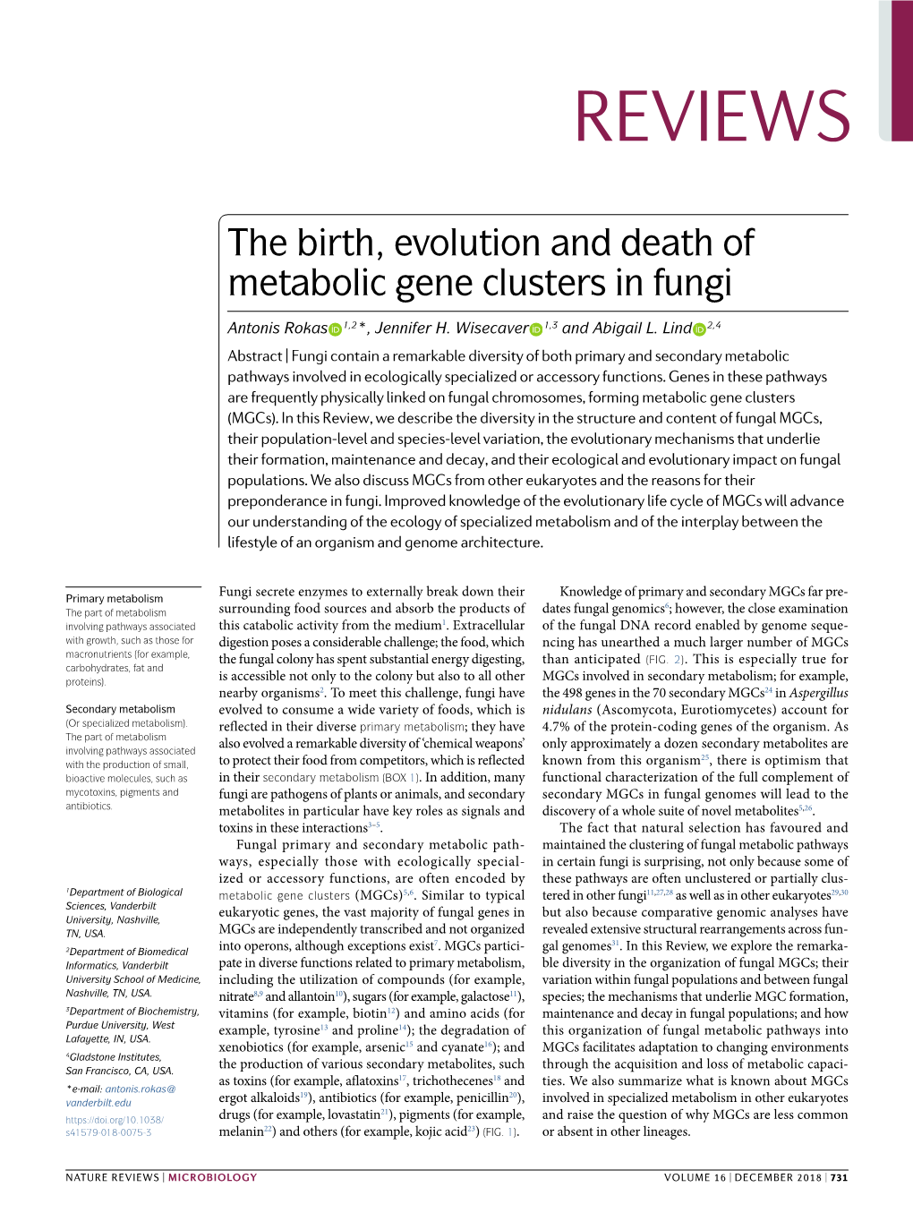 The Birth, Evolution and Death of Metabolic Gene Clusters in Fungi