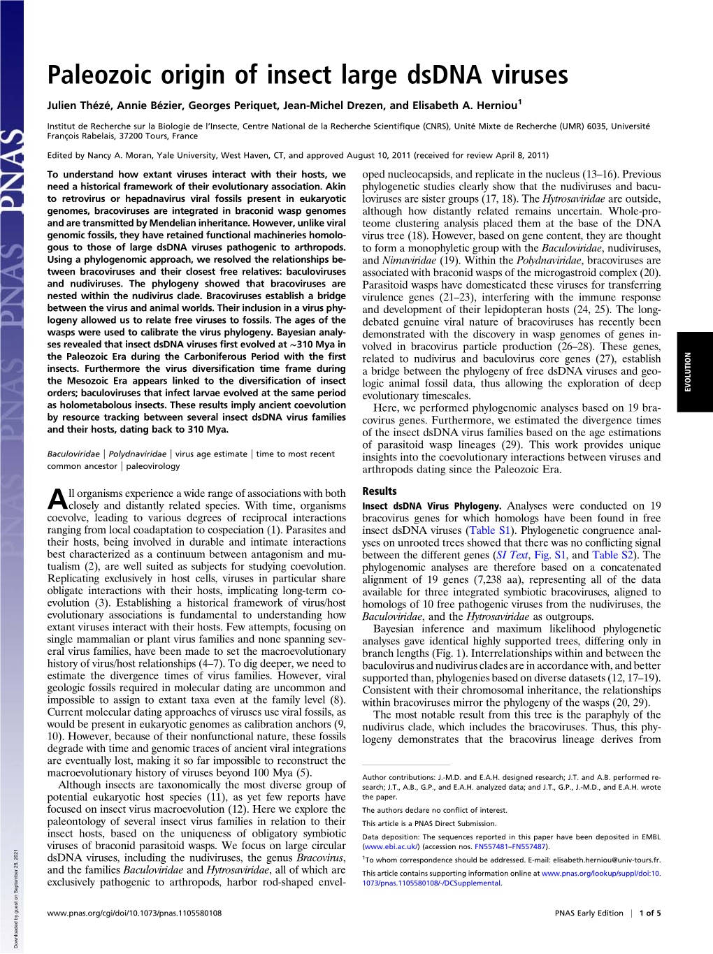 Paleozoic Origin of Insect Large Dsdna Viruses