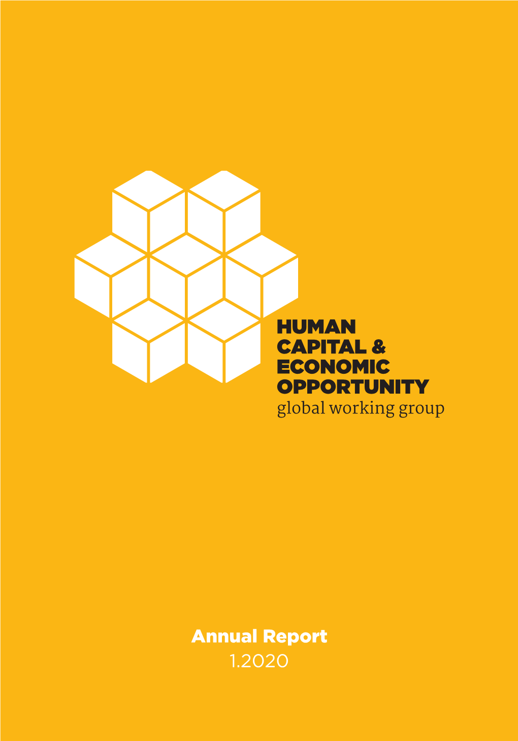 Annual Report 1.2020 HCEO Is Run by the Center for the Economics of Human Development, and Funded by the Institute for New Economic Thinking