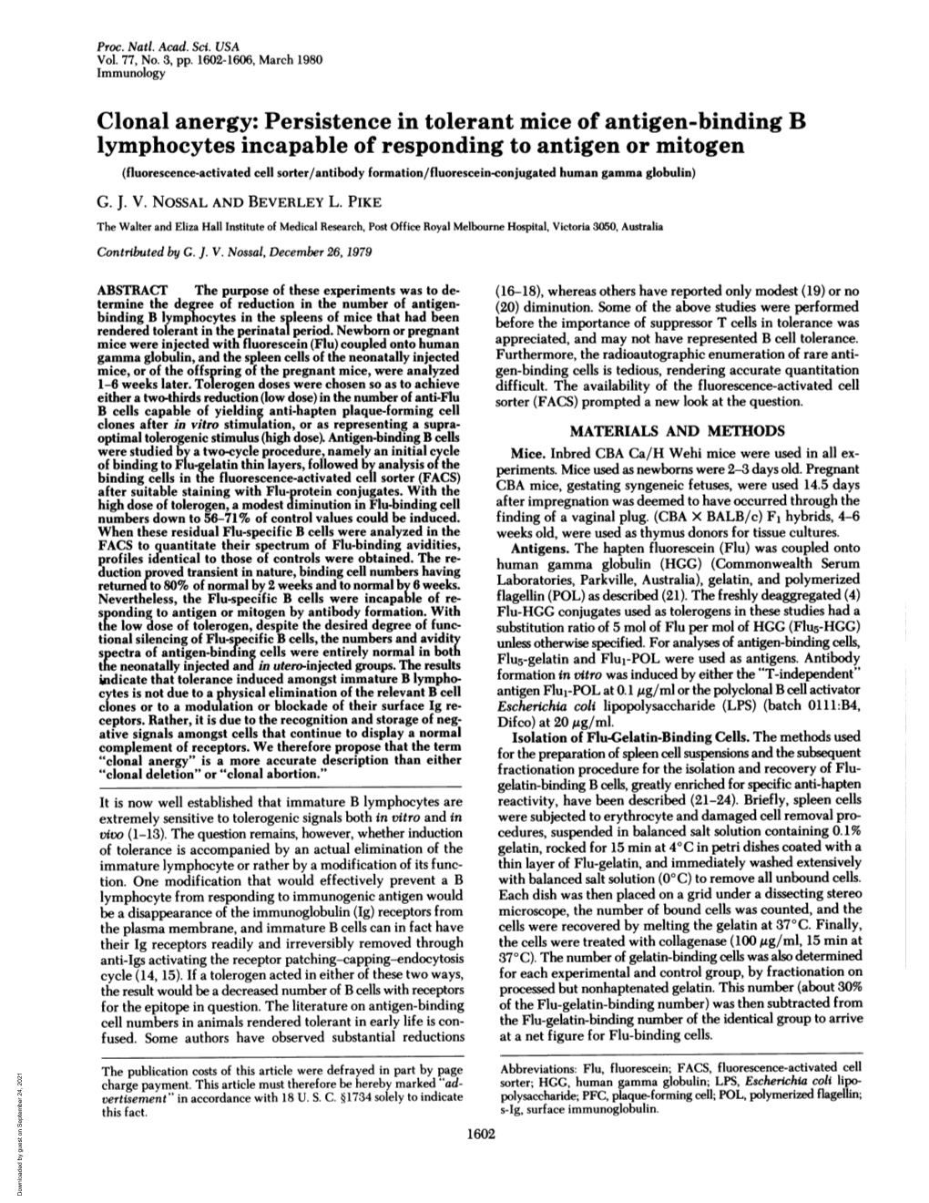 Lymphocytes Incapable of Responding to Antigen Or Mitogen (Fluorescence-Activated Cell Sorter/Antibody Formation/Fluorescein-Conjugated Human Gamma Globulin) G