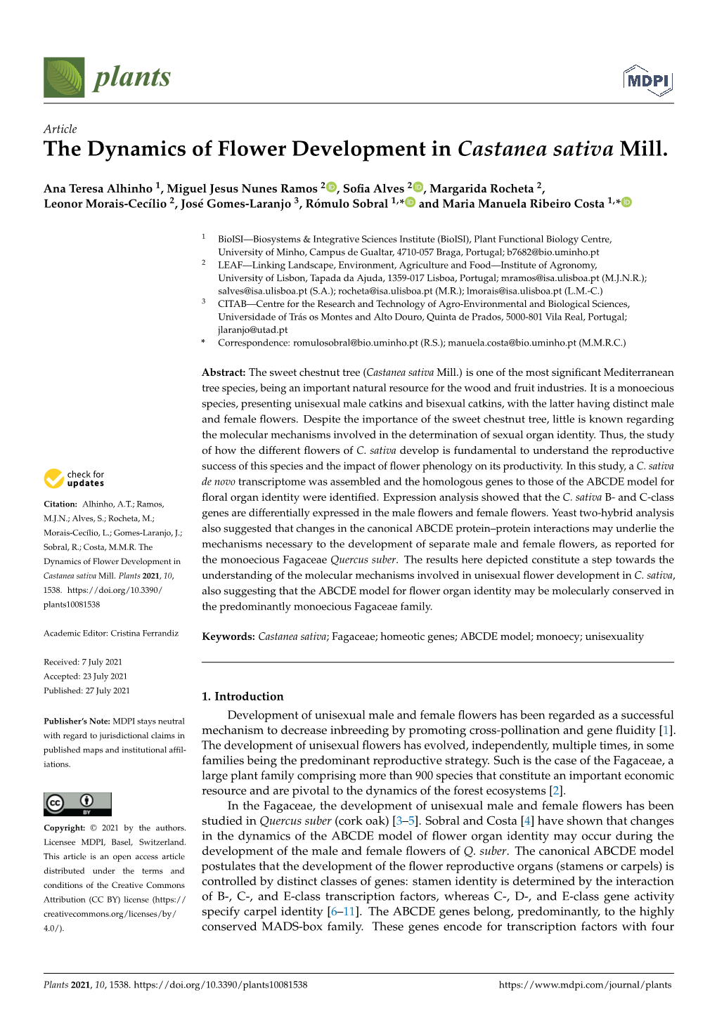 The Dynamics of Flower Development in Castanea Sativa Mill