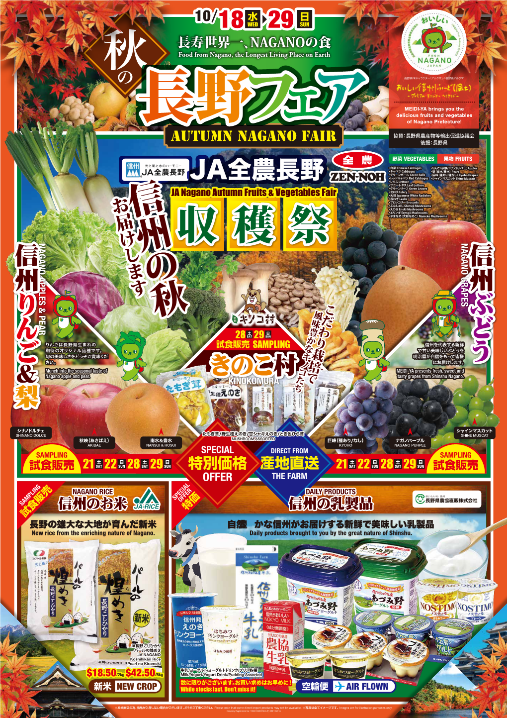 MEIDIYA Nagano Fair Mailer Front