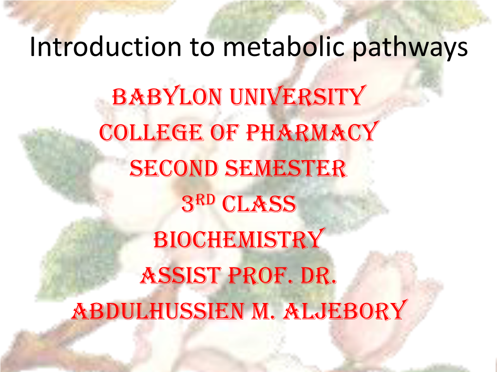 Introduction to Metabolic Pathways Babylon University College of Pharmacy Second Semester 3Rd Class Biochemistry Assist Prof