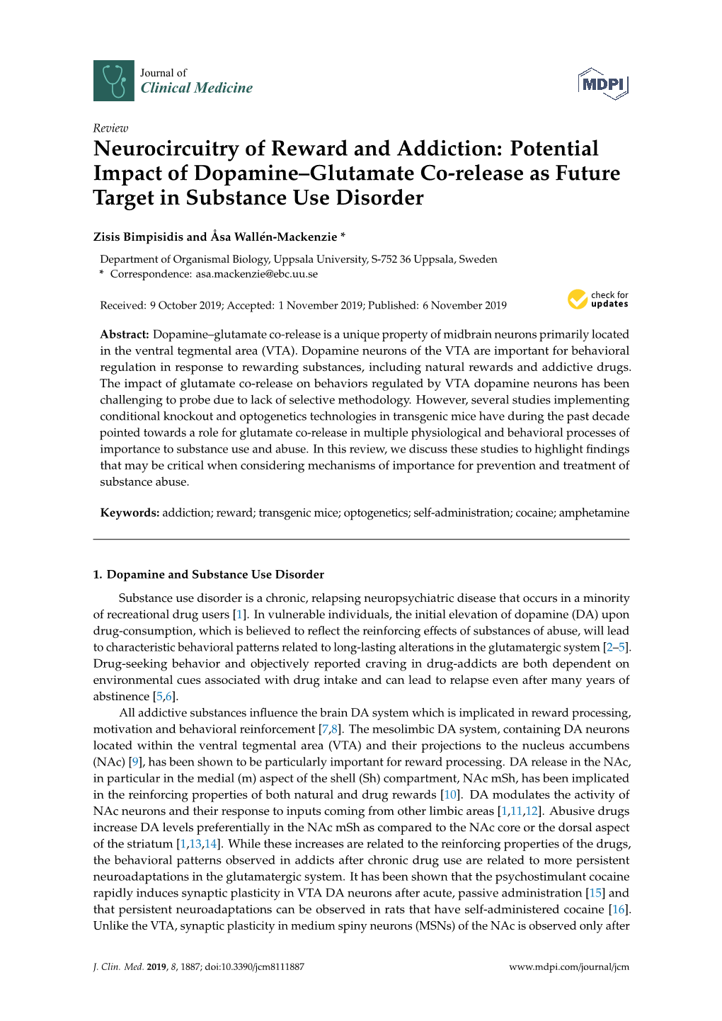 Potential Impact of Dopamine–Glutamate Co-Release As Future Target in Substance Use Disorder