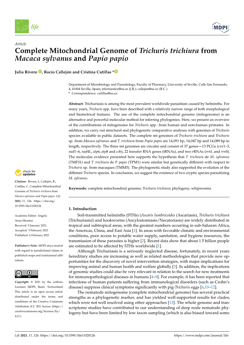 Complete Mitochondrial Genome of Trichuris Trichiura from Macaca Sylvanus and Papio Papio