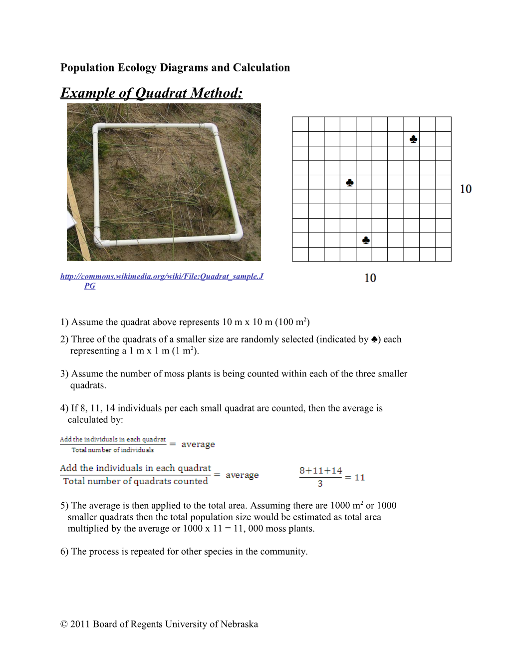 Example of Quadrat Method