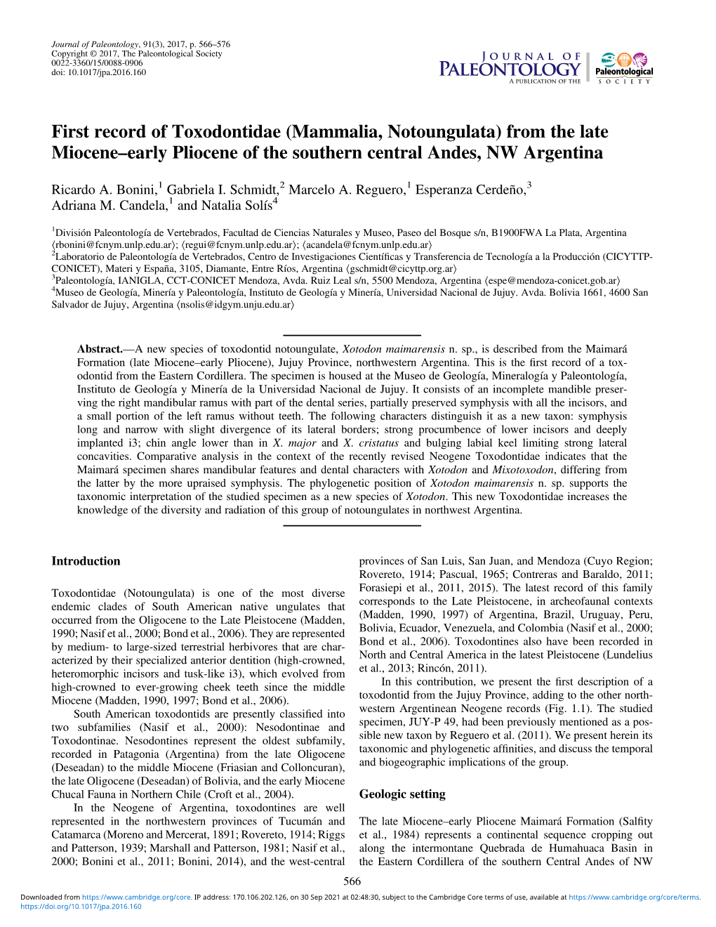 First Record of Toxodontidae (Mammalia, Notoungulata) from the Late Miocene–Early Pliocene of the Southern Central Andes, NW Argentina