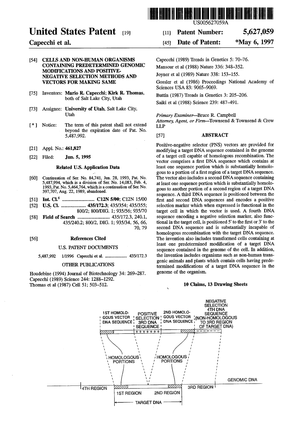 United States Patent (19) 11 Patent Number: 5,627,059 Capecchi Et Al