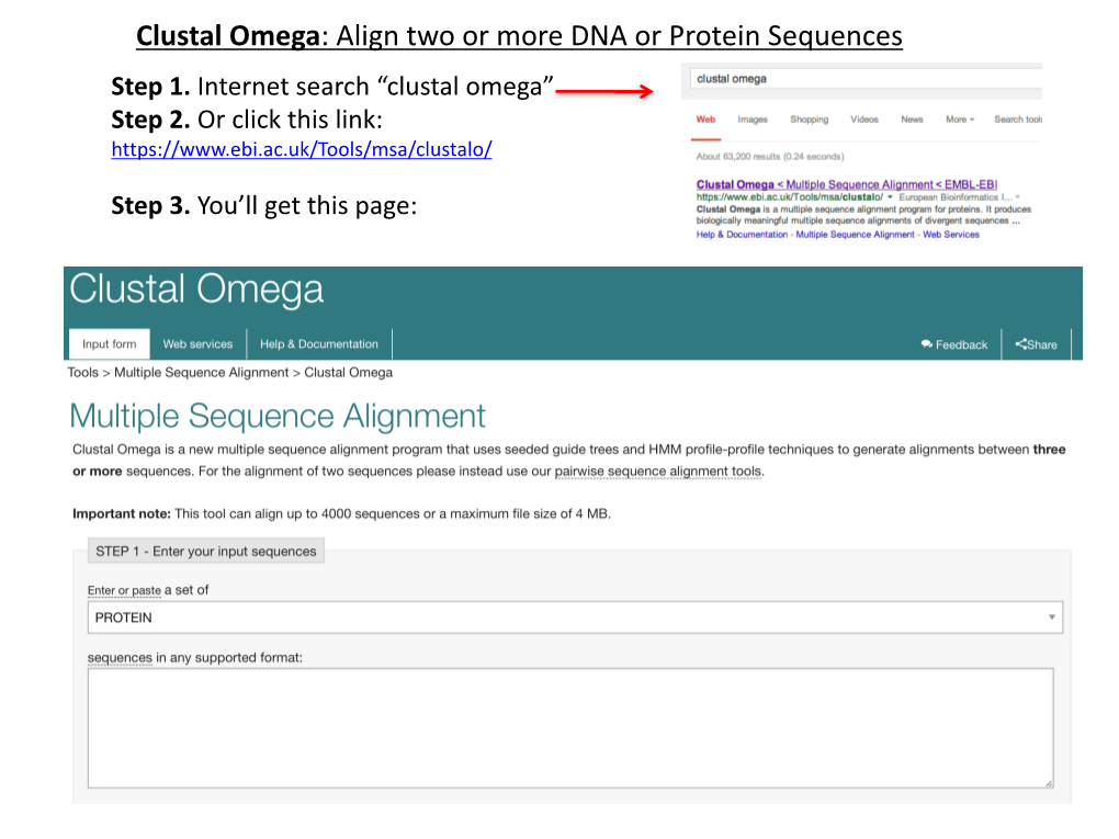 Clustal Omega: Align Two Or More DNA Or Protein Sequences Step 1