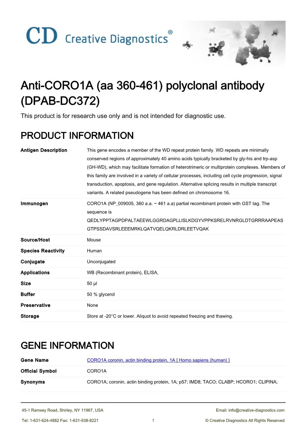 Anti-CORO1A (Aa 360-461) Polyclonal Antibody (DPAB-DC372) This Product Is for Research Use Only and Is Not Intended for Diagnostic Use