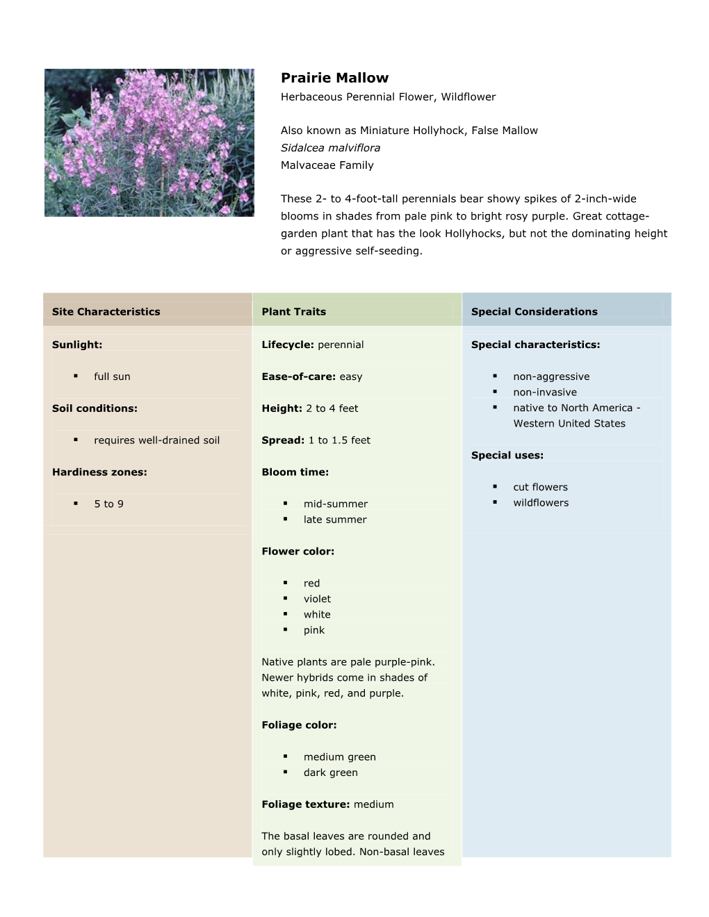 Prairie Mallow Herbaceous Perennial Flower, Wildflower