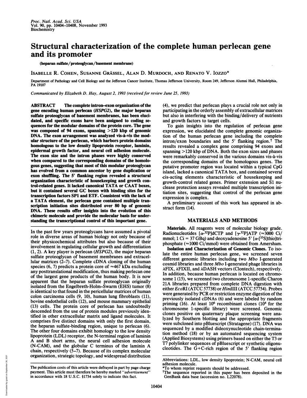 Structural Characterization of the Complete Human Perlecan Gene and Its Promoter (Heparan Sulfate/Proteoglycan/Basement Membrane) ISABELLE R