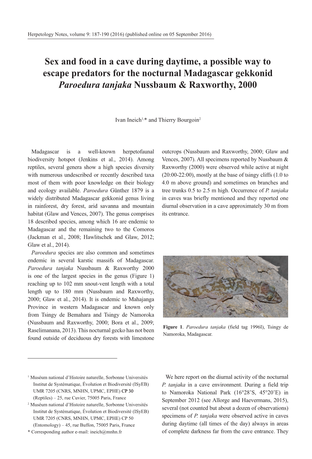 Sex and Food in a Cave During Daytime, a Possible Way to Escape Predators for the Nocturnal Madagascar Gekkonid Paroedura Tanjaka Nussbaum & Raxworthy, 2000