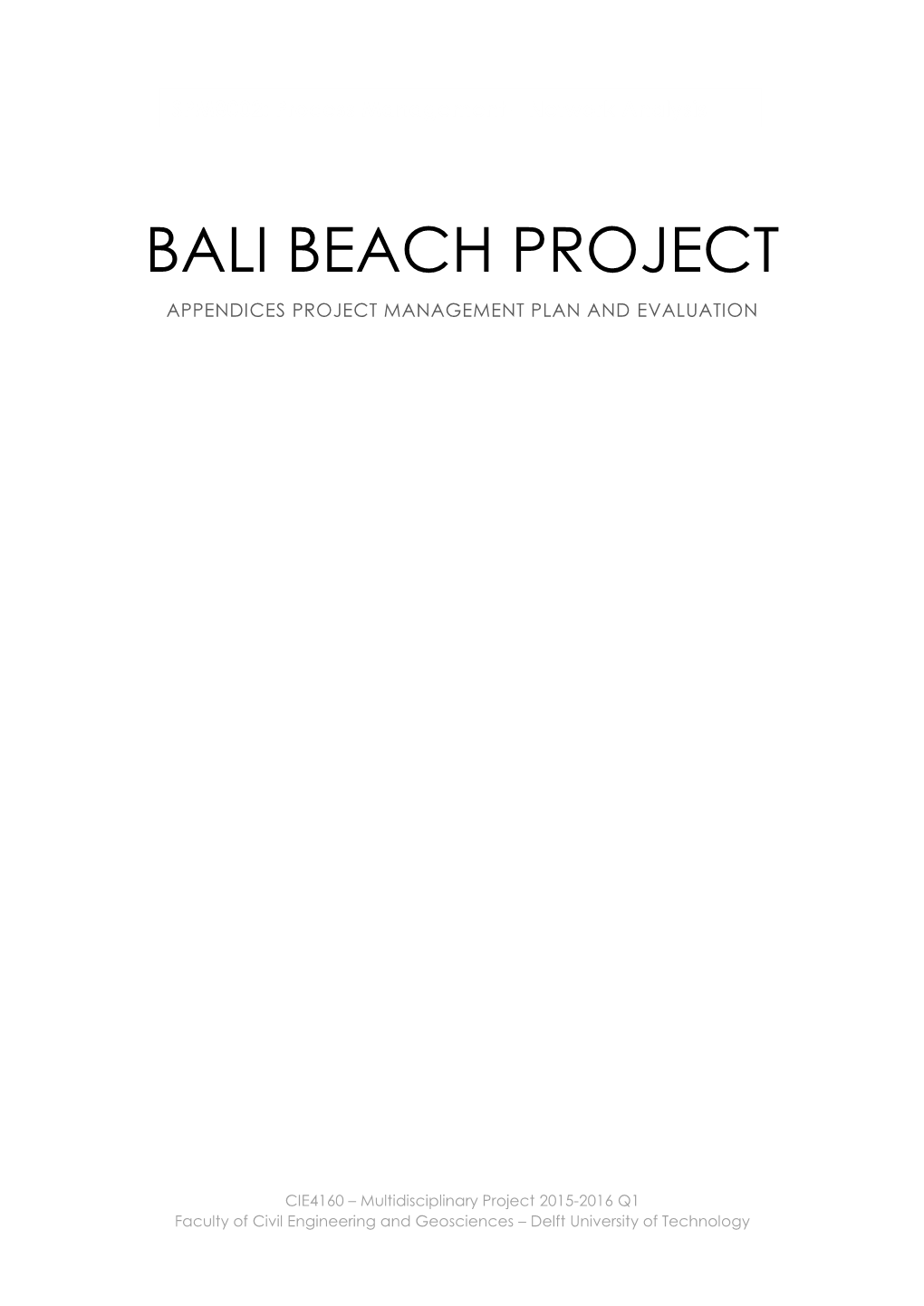 Bali Beach Project Appendices Project Management Plan and Evaluation
