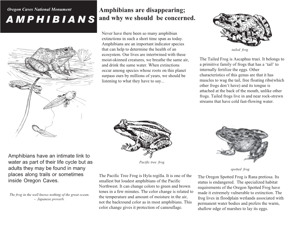 Amphibians Are Disappearing; AMPHIBIANS and Why We Should Be Concerned