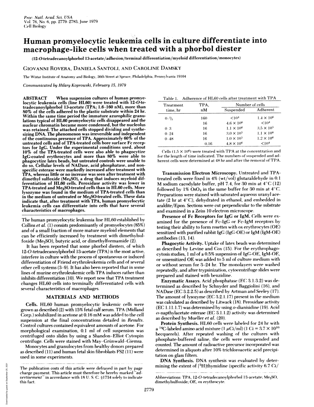 Human Promyelocytic Leukemia Cells in Culture Differentiate Into