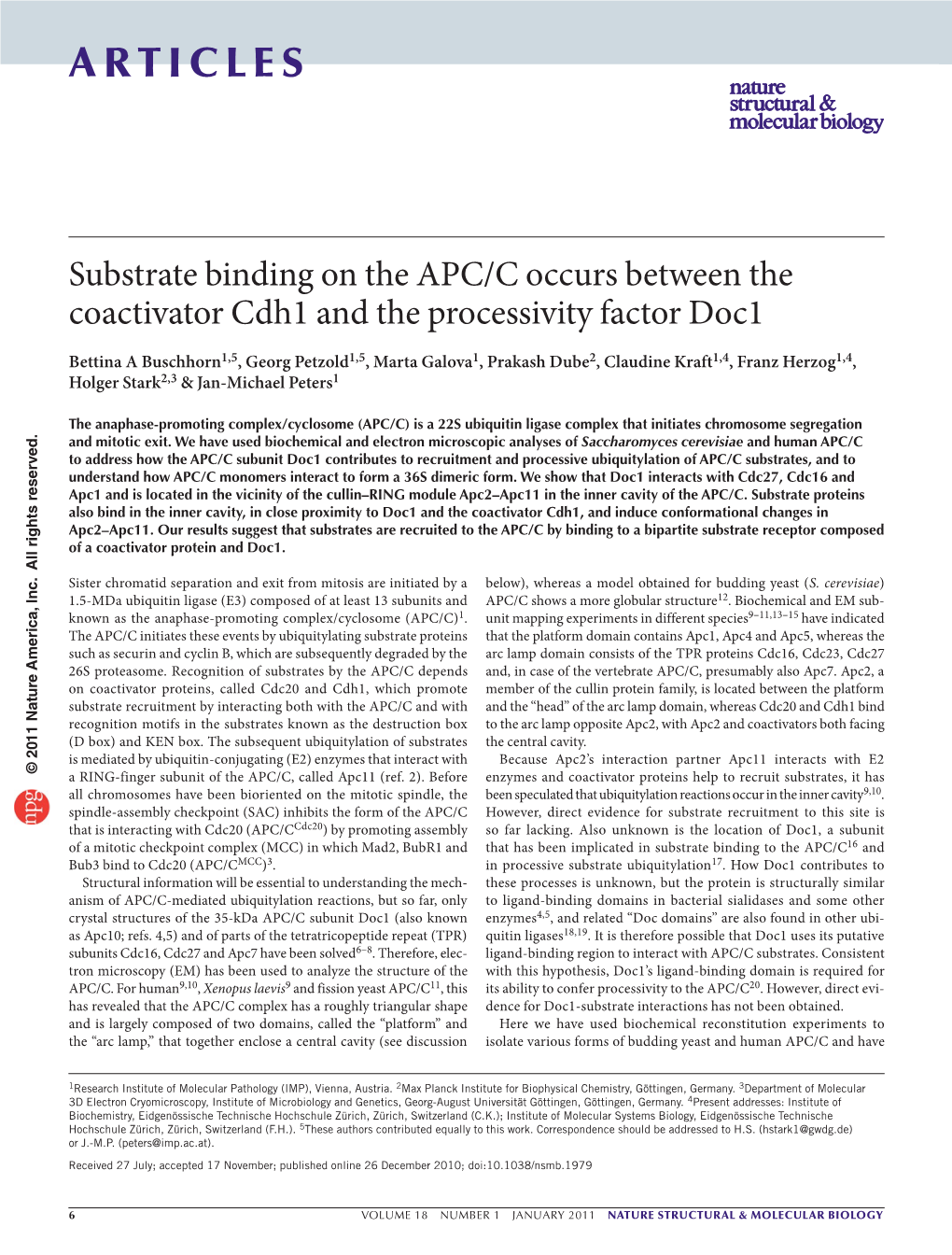 Substrate Binding on the APC/C Occurs Between the Coactivator Cdh1 and the Processivity Factor Doc1