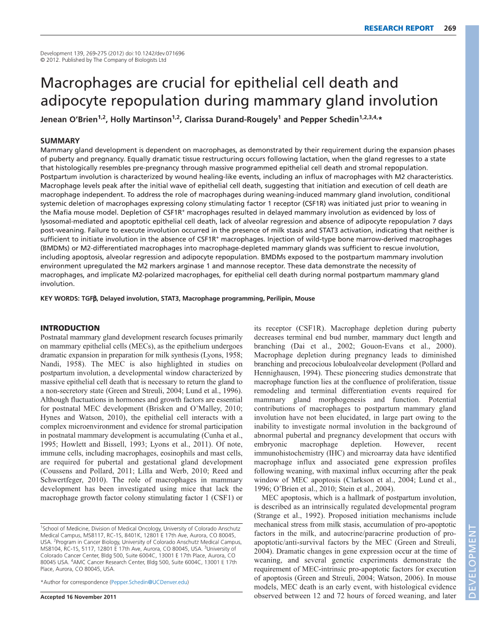 Macrophages Are Crucial for Epithelial Cell Death and Adipocyte