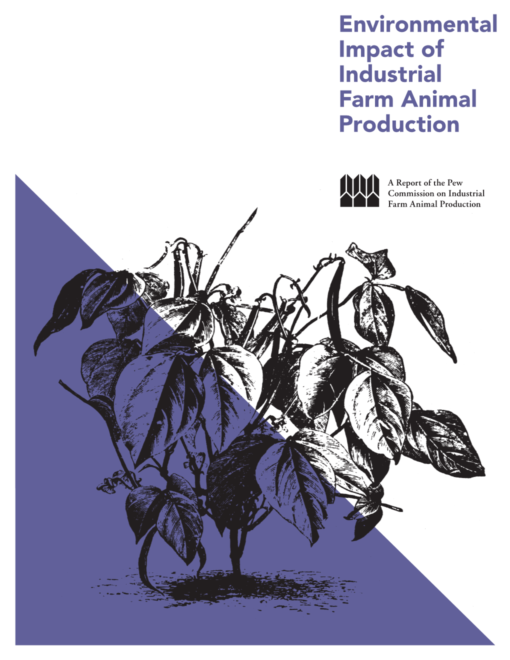 Environmental Impact of Industrial Farm Animal Production