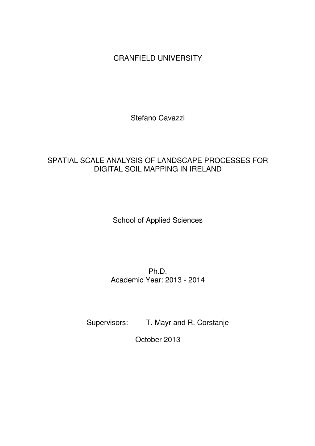 CRANFIELD UNIVERSITY Stefano Cavazzi SPATIAL SCALE