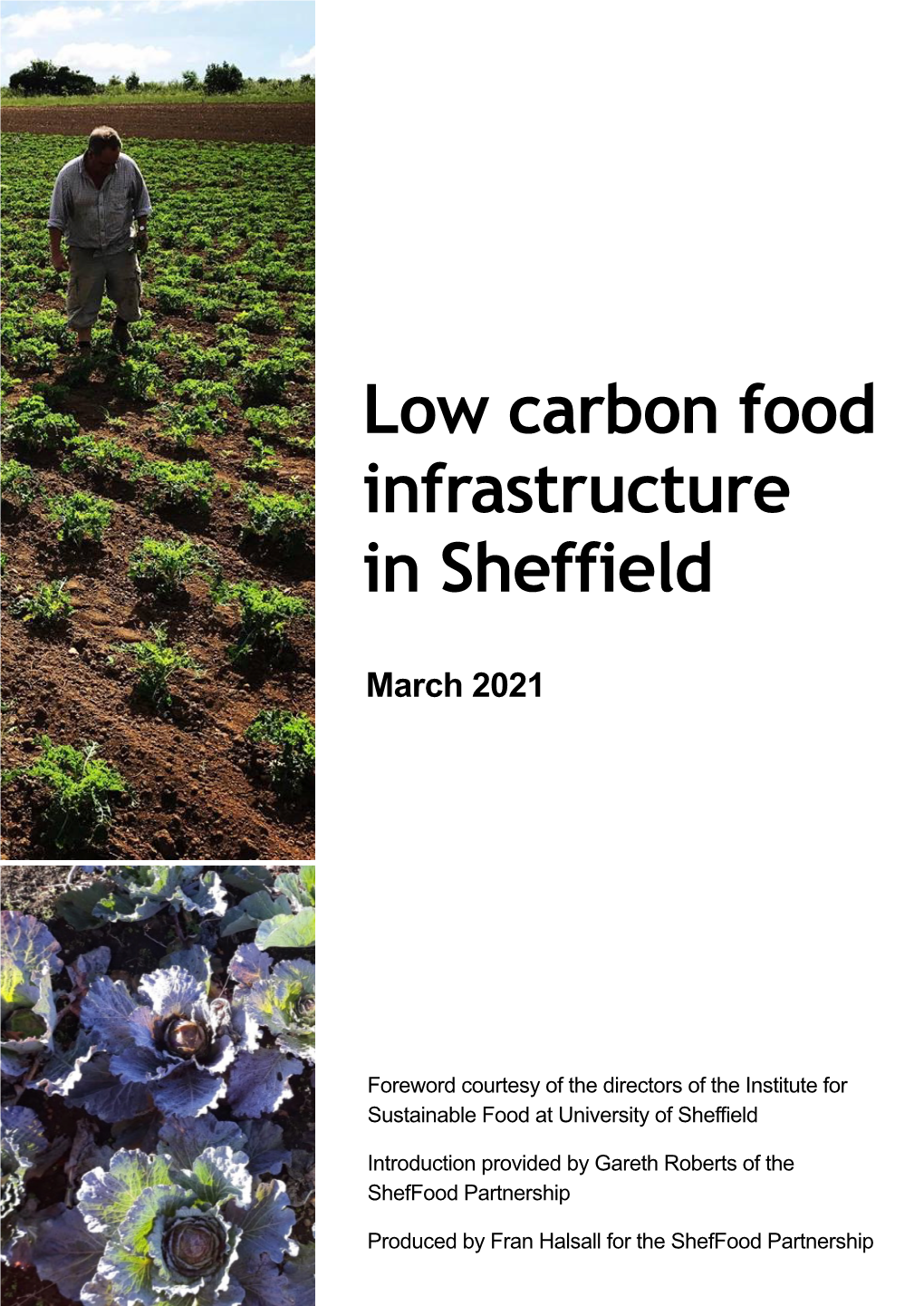 Low Carbon Food Infrastructure in Sheffield