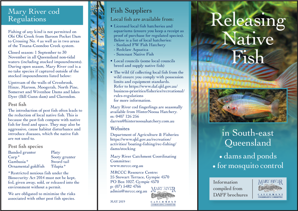 Releasing Native Fish