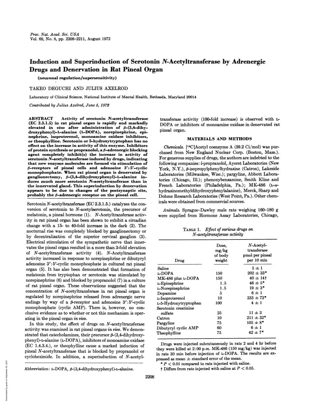 Induction and Superinduction of Serotonin N-Acetyltransferase by Adrenergic Drugs and Denervation in Rat Pineal Organ