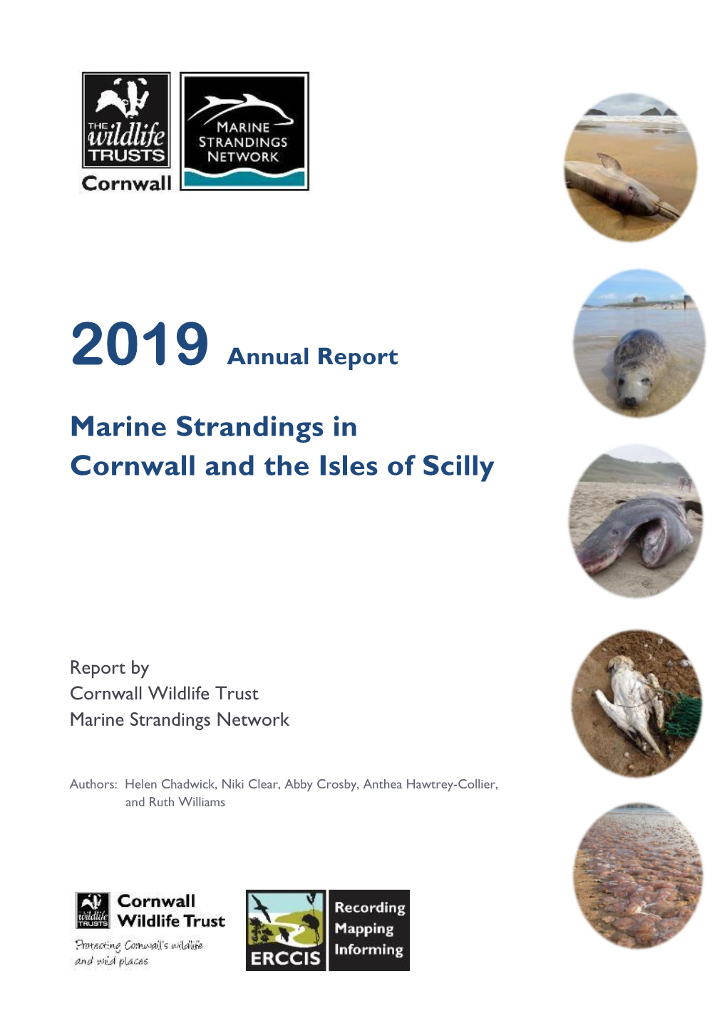 Marine Strandings in Cornwall and the Isles of Scilly