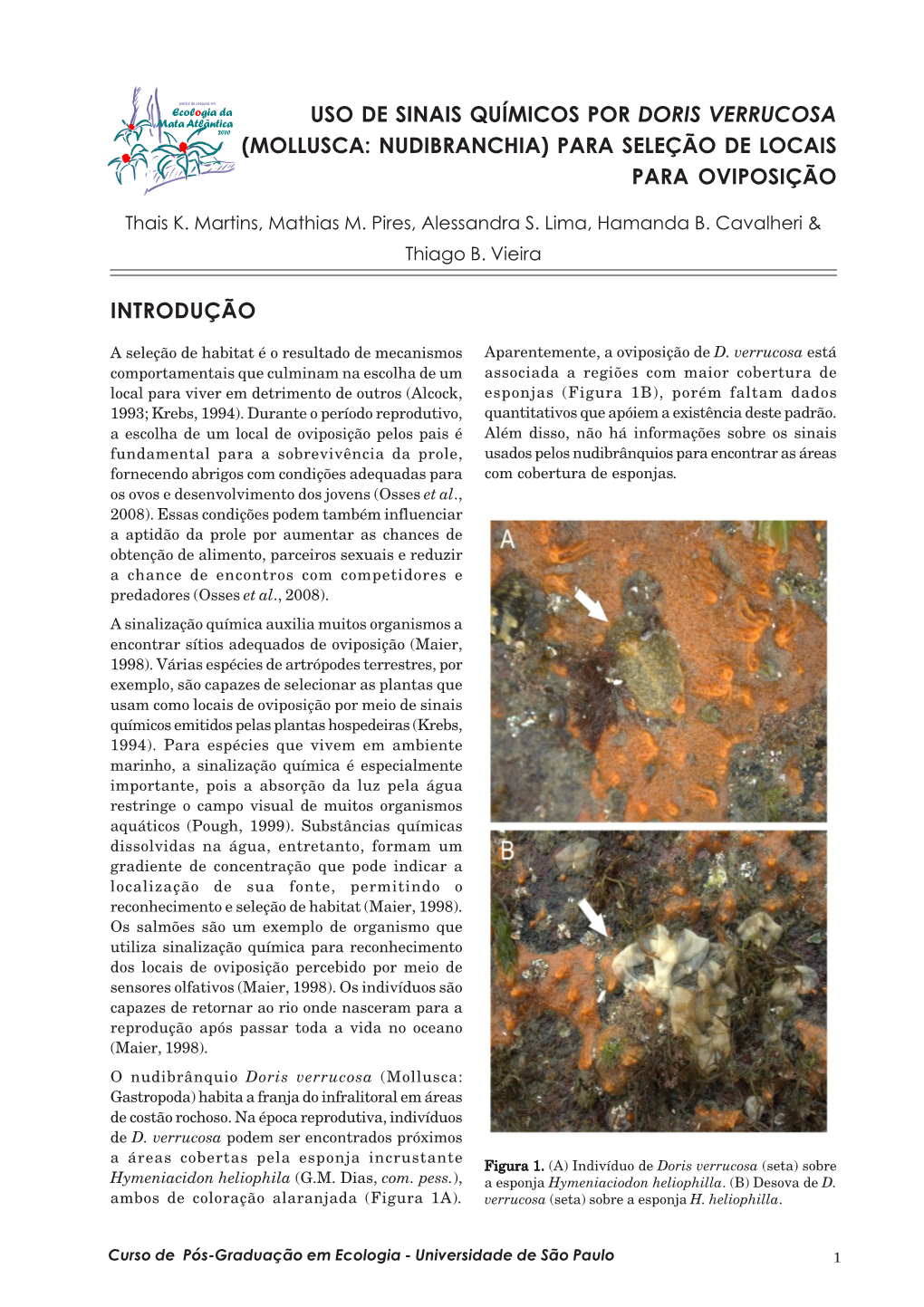 Uso De Sinais Químicos Por Doris Verrucosa (Mollusca: Nudibranchia) Para Seleção De Locais Para Oviposição