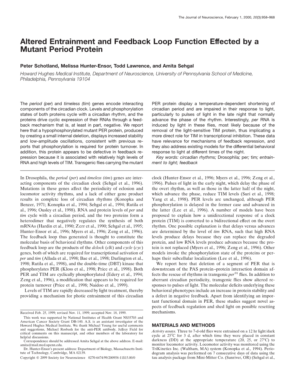 Altered Entrainment and Feedback Loop Function Effected by a Mutant Period Protein
