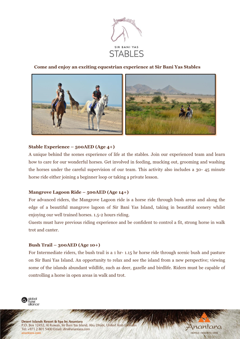 Come and Enjoy an Exciting Equestrian Experience at Sir Bani Yas Stables