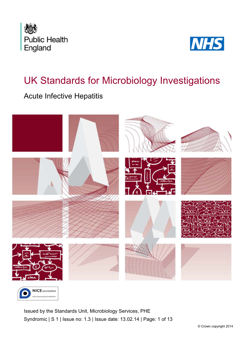 S 1 | Issue No: 1.3 | Issue Date: 13.02.14 | Page: 1 of 13 © Crown Copyright 2014 Acute Infective Hepatitis